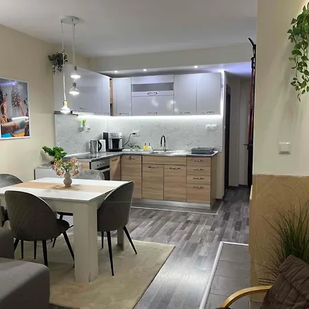 아파트 аpartment B201 Grand 1 반스코